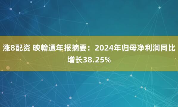 涨8配资 映翰通年报摘要：2024年归母净利润同比增长38.25%