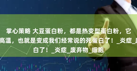 掌心策略 大豆蛋白粉，都是热变型蛋白粉，它的工艺就是高温，也就是变成我们经常说的死蛋白了！_炎症_废弃物_细胞