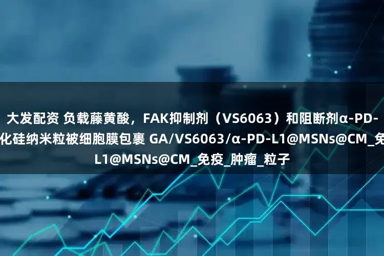 大发配资 负载藤黄酸，FAK抑制剂（VS6063）和阻断剂α-PD-L1的介孔二氧化硅纳米粒被细胞膜包裹 GA/VS6063/α-PD-L1@MSNs@CM_免疫_肿瘤_粒子