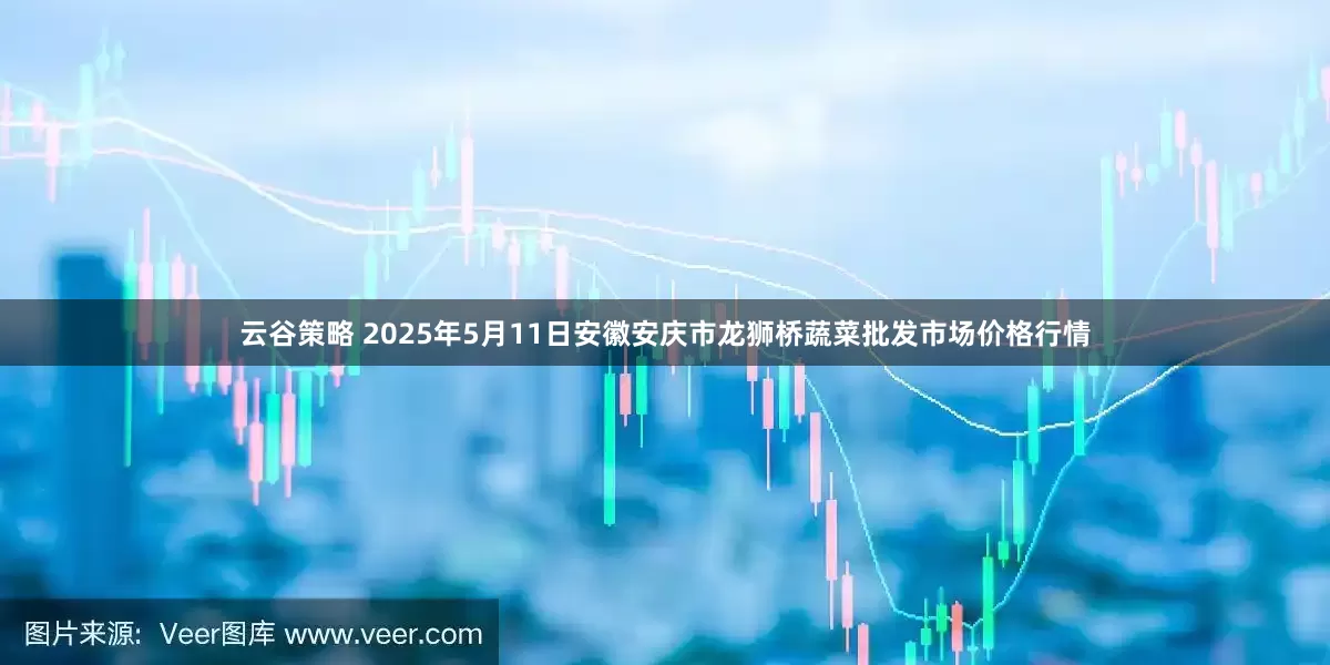 云谷策略 2025年5月11日安徽安庆市龙狮桥蔬菜批发市场价格行情