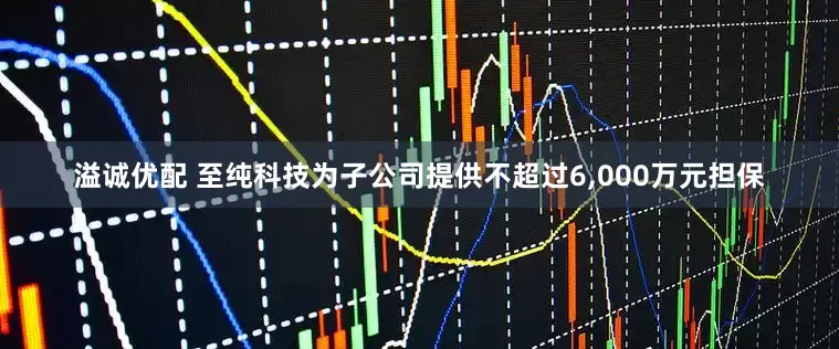 溢诚优配 至纯科技为子公司提供不超过6,000万元担保
