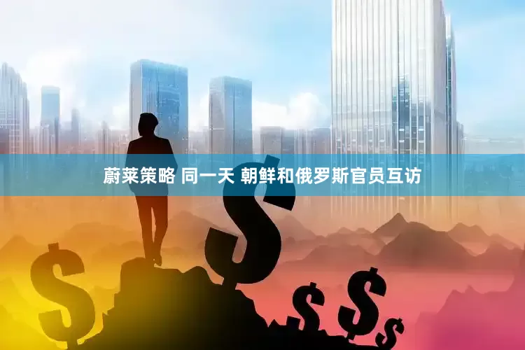蔚莱策略 同一天 朝鲜和俄罗斯官员互访