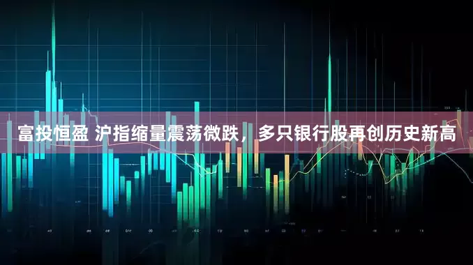 富投恒盈 沪指缩量震荡微跌，多只银行股再创历史新高