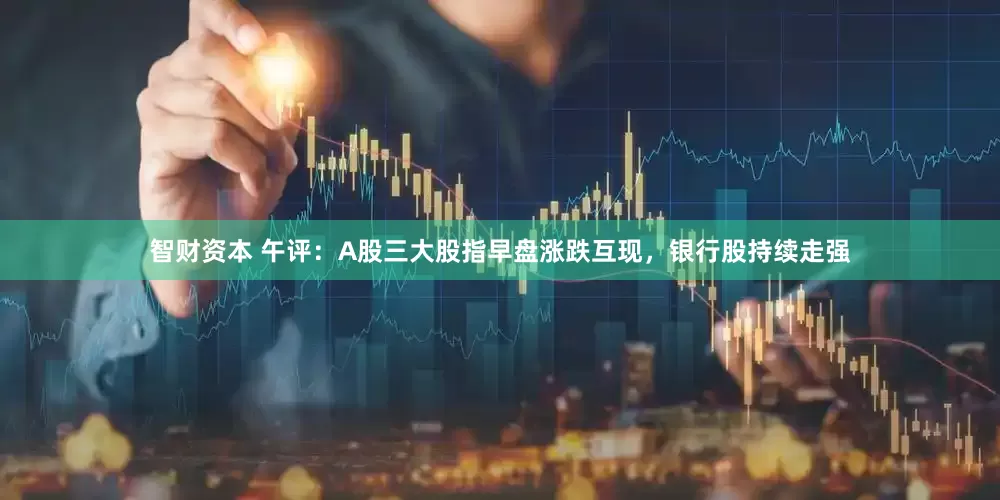 智财资本 午评：A股三大股指早盘涨跌互现，银行股持续走强