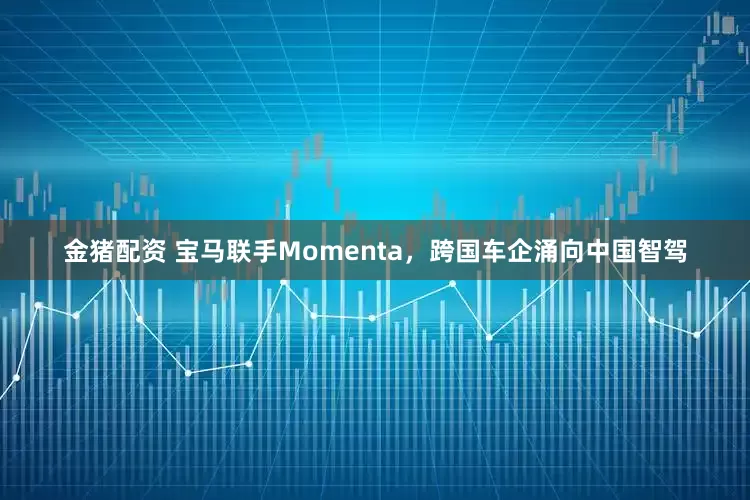 金猪配资 宝马联手Momenta，跨国车企涌向中国智驾