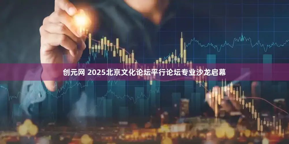 创元网 2025北京文化论坛平行论坛专业沙龙启幕